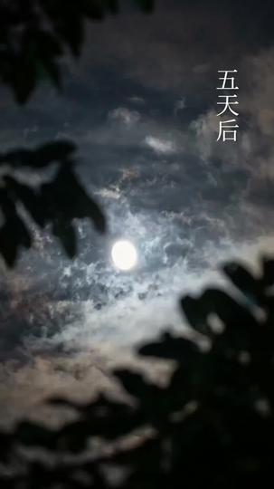 仙緣未了,失約的月亮 第10集