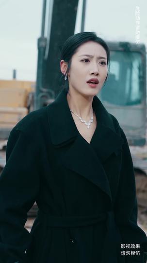 将军来也 第4集