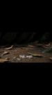 Episodes 50