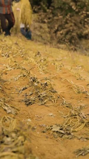 대기근에도 우리 집은 고기반찬 제8회