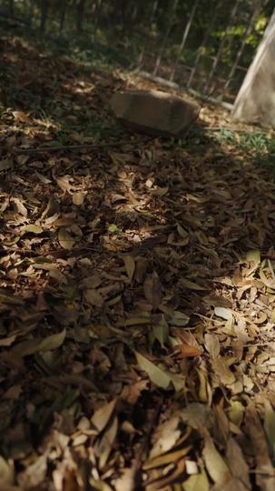 替身少帅 第3集