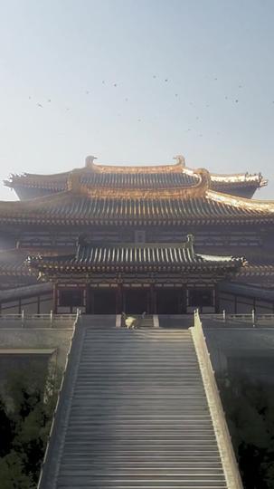 寒夜无温 第1集