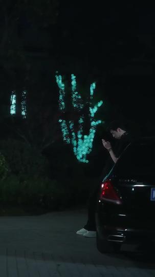 Sie ein zweites Mal für sich gewinnen 2Folgen