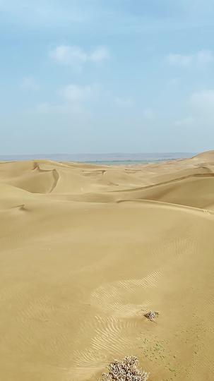 荒野歌行 第4集