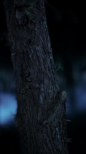 京華血未寒 第1集