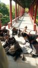Episode 34