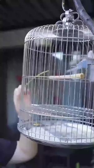 The Secret Billionaire Episode 1