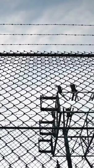 Mr. Moore's Secret Wife Episode 3