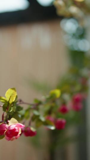 Me Casei Com O CEO Misterioso 3Episódio