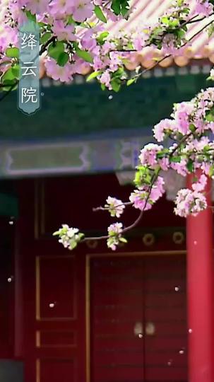 主母攻略：從治家到治夫 第5集