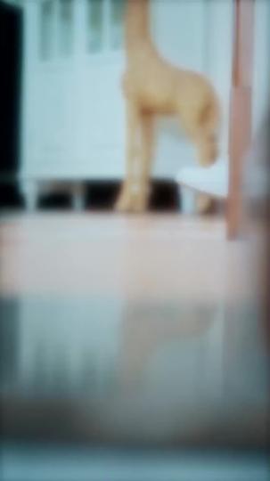 En Busca de Ella Episodio 2