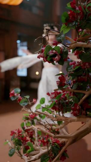 صعود الحكيم من ظلام البساطة 8مجموعة