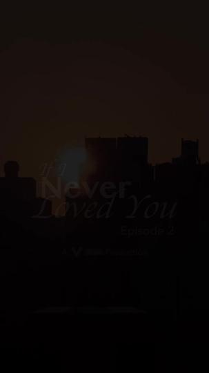 لو لم أحبك قط (مدبلج) 2مجموعة