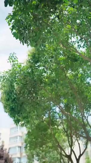 Your Heart's Next Stop: Me Episode 9