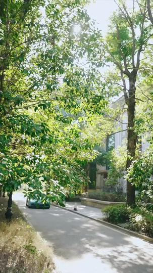 Operation: Stepmom Matchmaker Episode 2