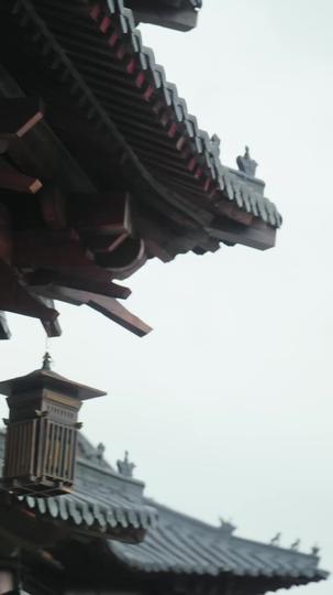 且看云起时 第6集