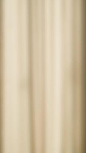 Mein geheimer Agenten-Ehemann II 11Folgen