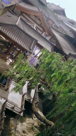 暗衛覺醒:弒主手冊 第7集