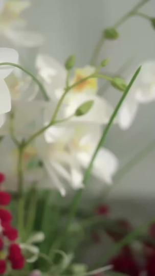 Nadie espera para siempre Episodio 1