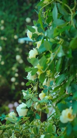 Back from Death, Now They Pay in Full Episode 1