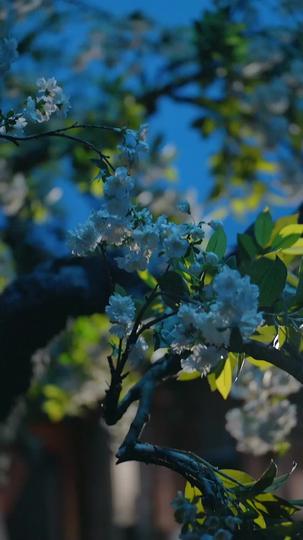 宮廷でズル休み！～現代社畜の生き残り戦略～ 第 4 話