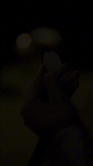 Blinded by the Crown Episode 1