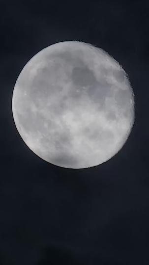 狼王の運命の相手になりました（吹き替え） 第 1 話