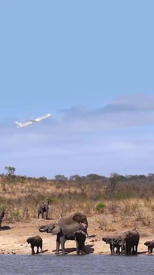 Cariño, aquí mando yo Episodio 1