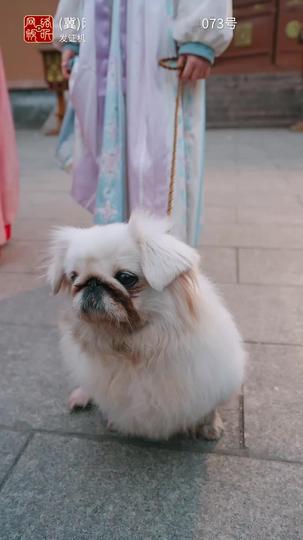 萌寶助攻：冷院醫妃翻身記 第4集