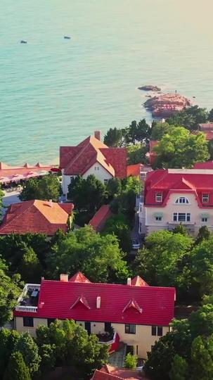 认亲后我的马甲藏不住了 第7集