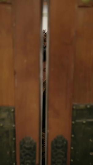 摂政王様は大人しくない! 第 11 話