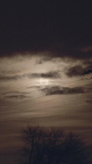 My Secret With Country Boys Episode 5