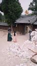 Episodes 56