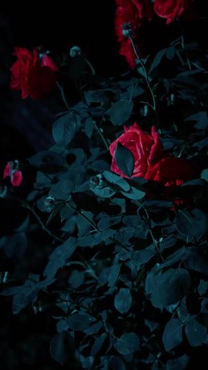 春到南楼雪尽处 第1集