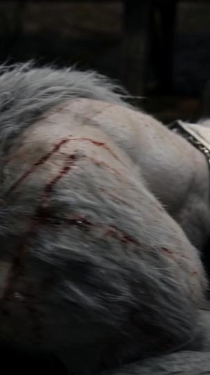 The Male Queen of the Alpha Wolf King Episode 5