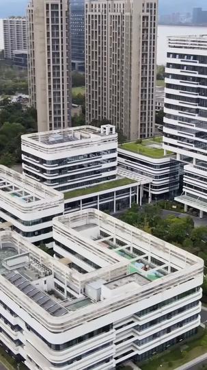  ดวงใจพิสุทธิ์  ที่9ตอน