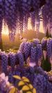 SnowWhite: The Evil Queen Was Right! Episode 1