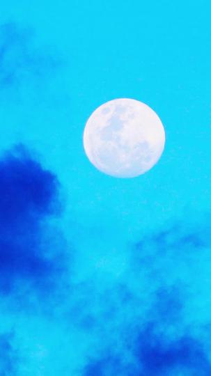 裝窮裝可憐，結果被死對頭吃幹抹淨 第9集