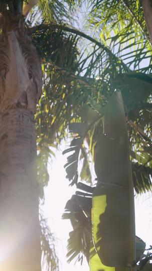 Alpha King's Silent Cinderella Episode 9