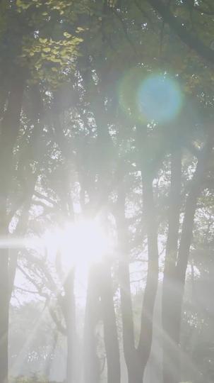 The Price for One Sweet Night Episode 4