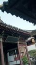 剧集数 17