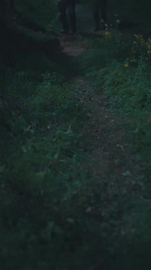 爸妈跑路,福宝带债主发财了 第11集