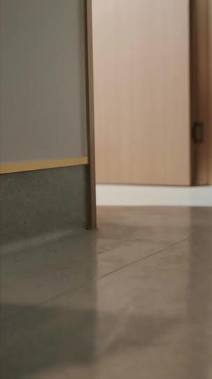 The Recrowned Heiress Episode 2