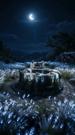 Moonfall Wolf Ruins 第3集