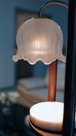 家有贤妻家会旺 第4集