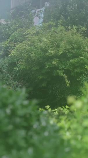 Left Me Nothing, I Became Everything Episode 7