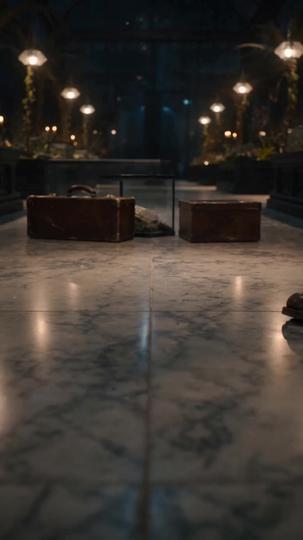 Fantastic Beasts and the Night Keeper Episode 8
