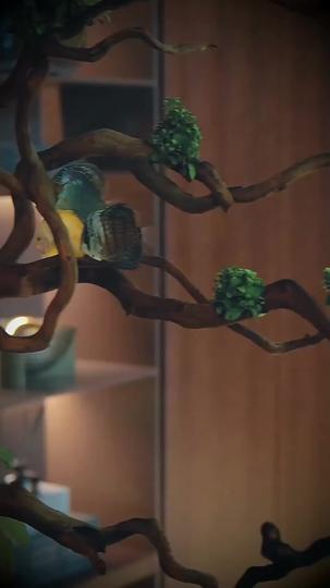 Ark on Time Episode 8