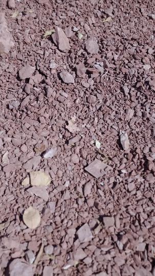 一见君来误此生 第1集