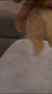 Episodes 22